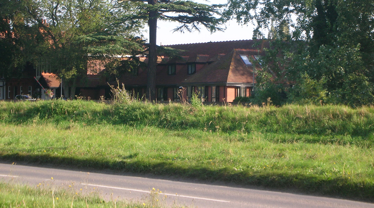 Verge in Maidenhead - credit: Flickr/Stephen Dann (CC b y S.A 2.0)